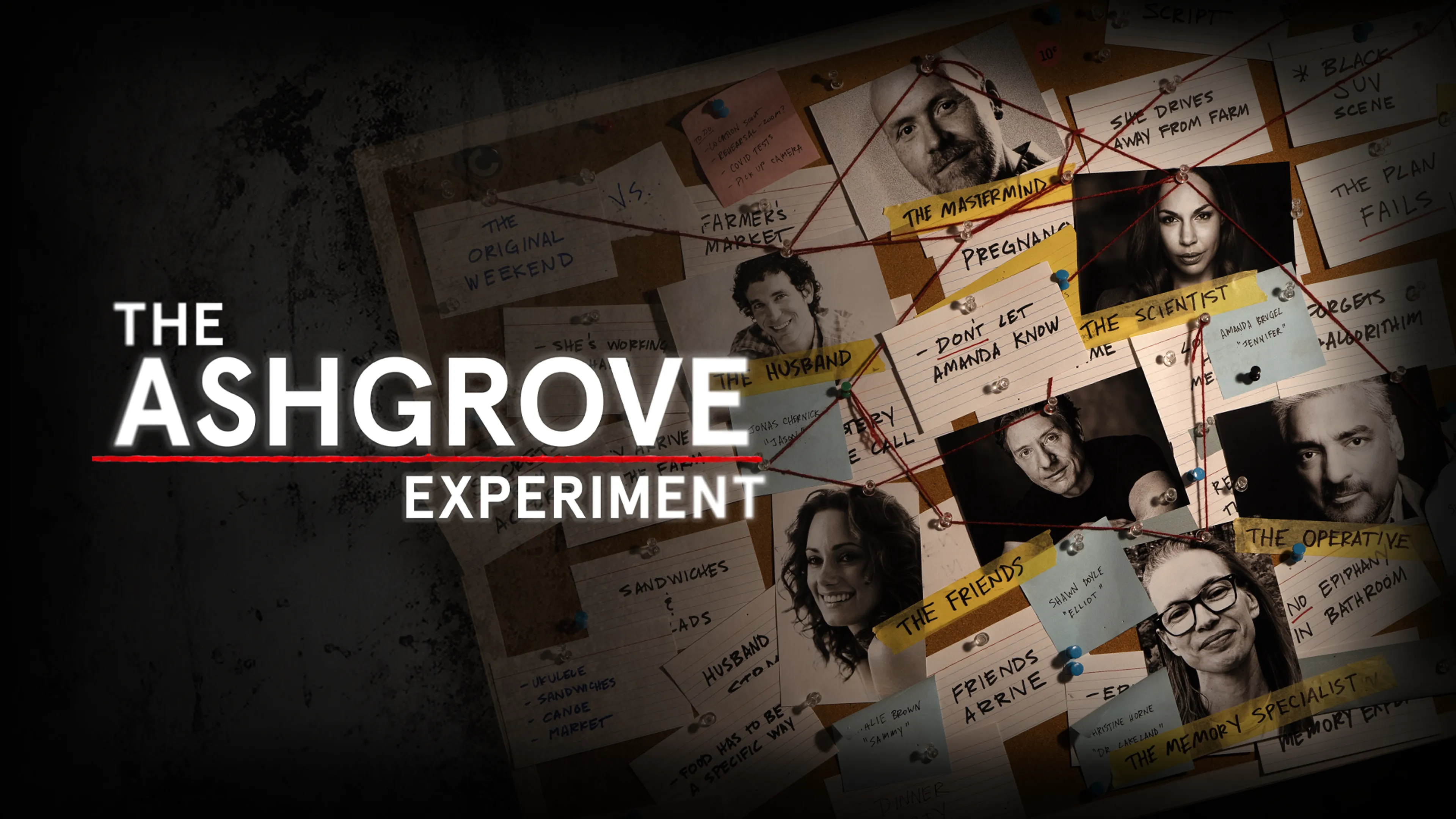 The Ashgrove Experiment poster